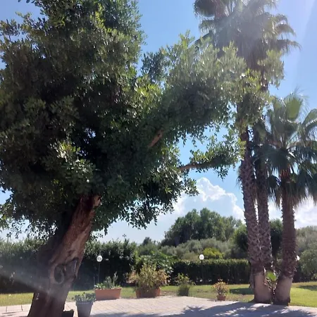 Antonella * Augusta